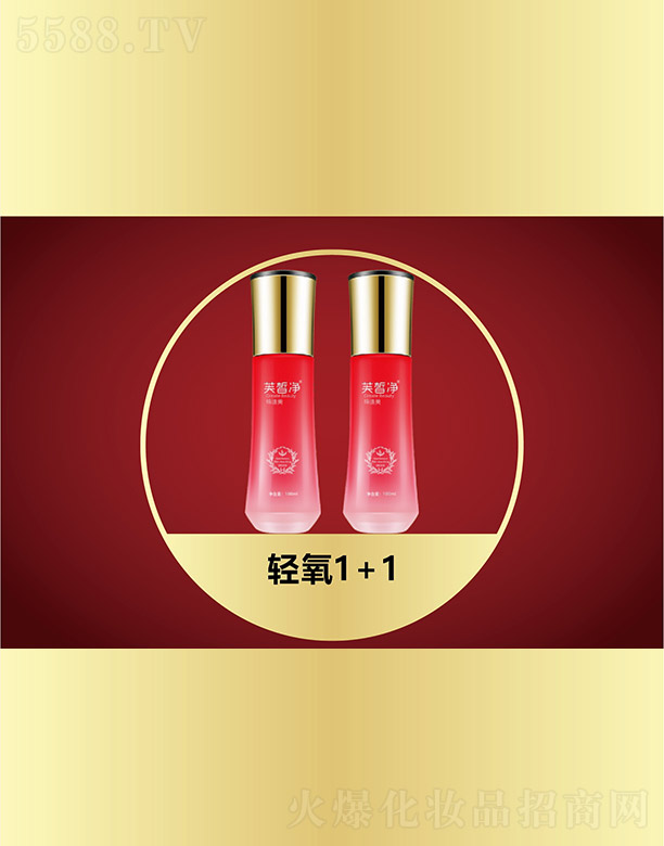 �V���f(w��n)�Z��(gu��)�H����Ƽ����޹�˾��ܽ���p��1+1