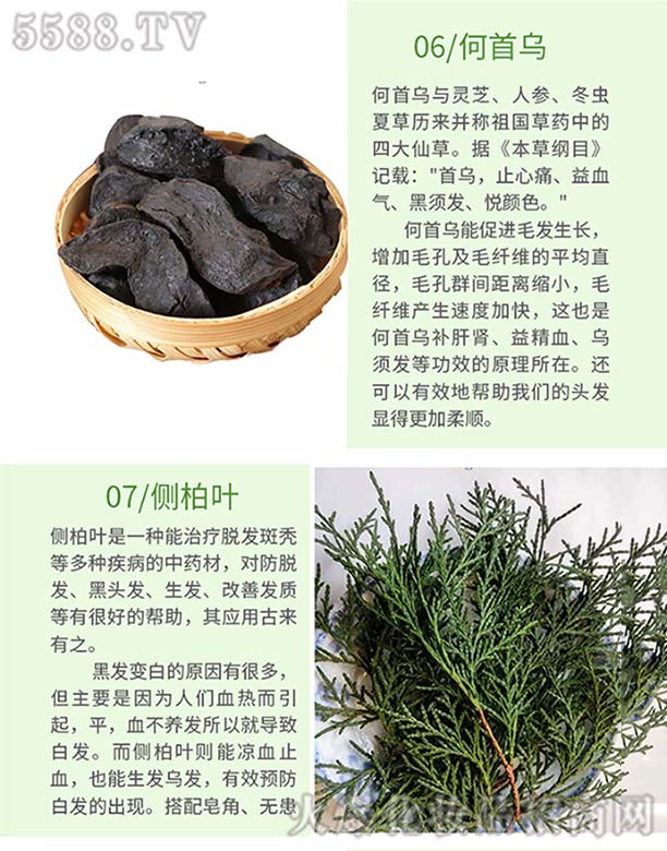 Ȫ���ֿ��t(y��)ˎ���޹�˾���l(f��)ѾѾ�ݱ�ֲ�����ϴ�l(f��)�飨���מ�����(c��)���~��