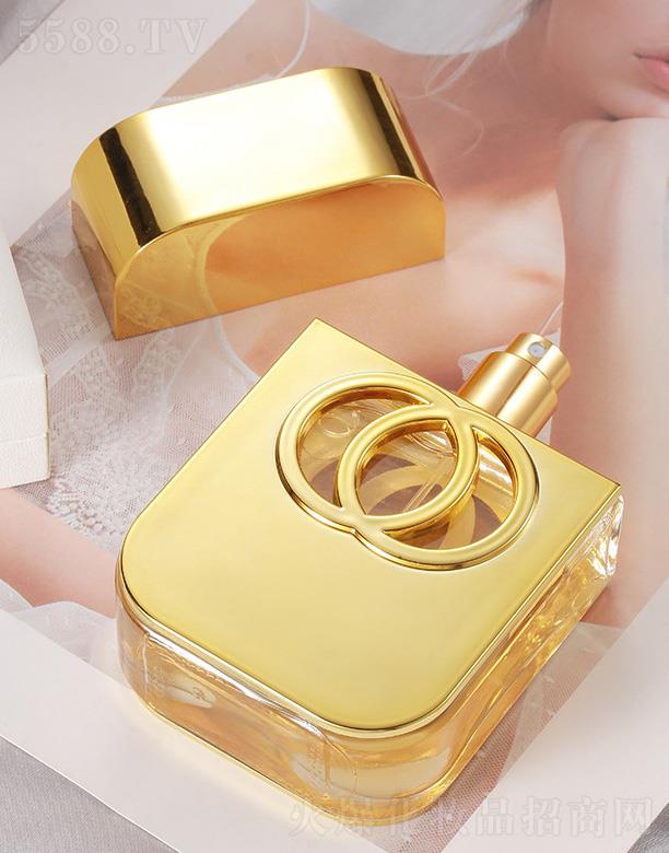 �x�����������yƷ���޹�˾�����Ƽ{������������ˮ