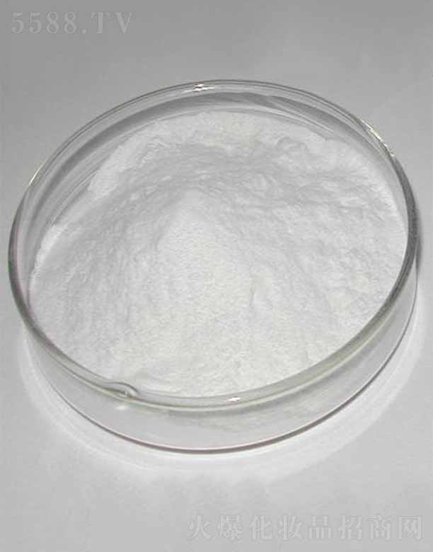 �ɶ������������޹�˾������-9/������/������