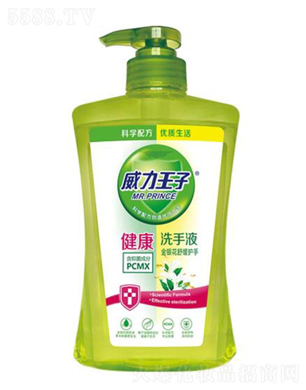 �V������ջ��Ƽ����޹�˾���������ӽ��y���澏�o(h��)�ֽ���ϴ��Һ 500��