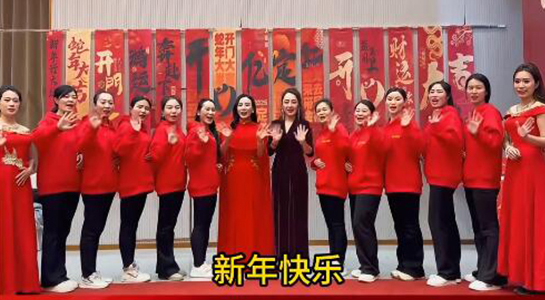 蛇年好運(yùn)至，幸福滿人間！飛斯達(dá)祝您百事從歡，一路向陽！