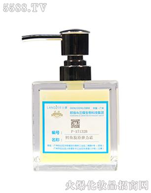 P-17132B�L�~�zԭ����˪