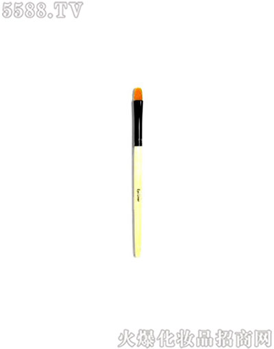 �űȲ��ʌ�(zhu��n)�I(y��)�۾�ˢ