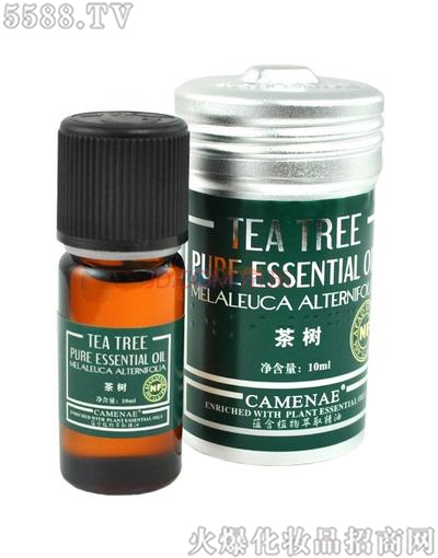 ���Ę���侫��