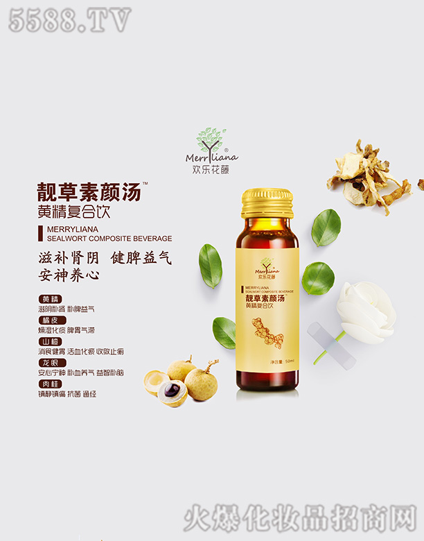 �g�������n������S����(f��)���