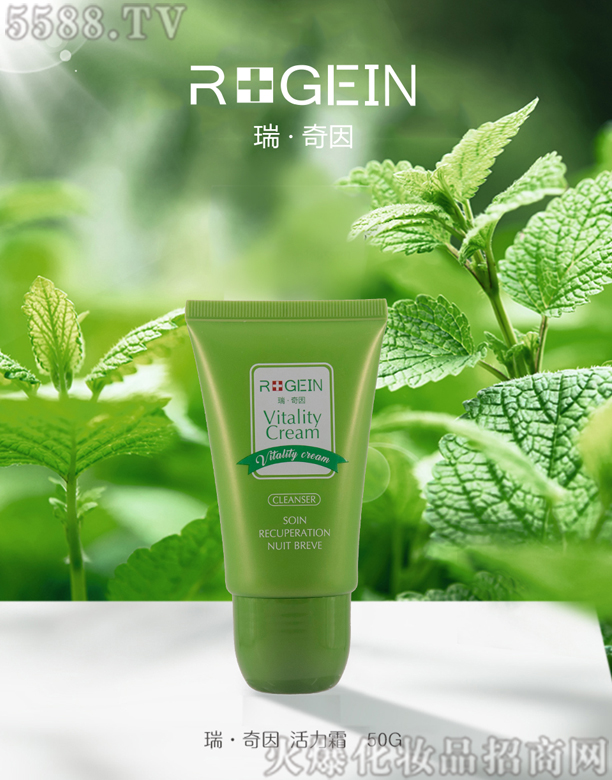 ���������˪