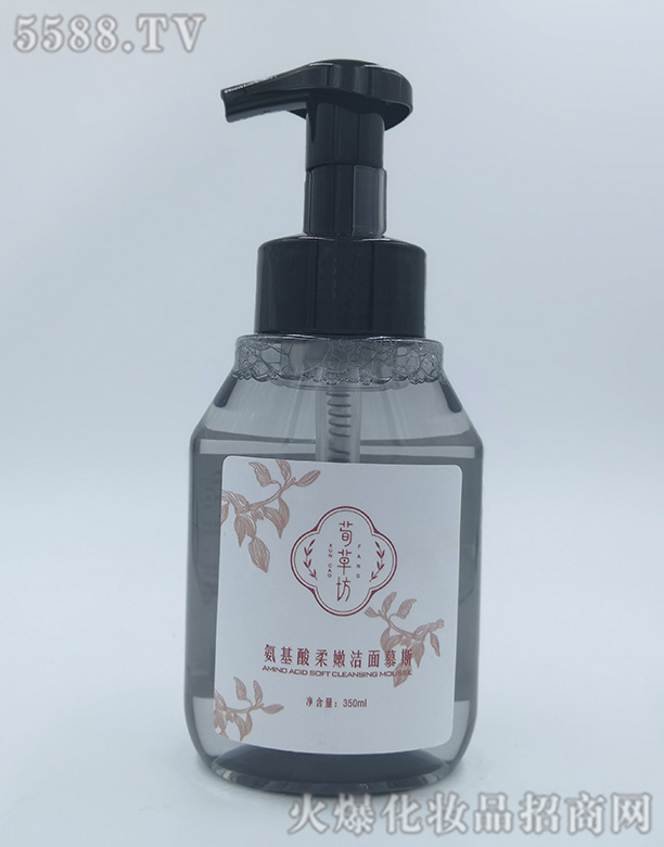 ���ݷ����������۝���Ľ˹