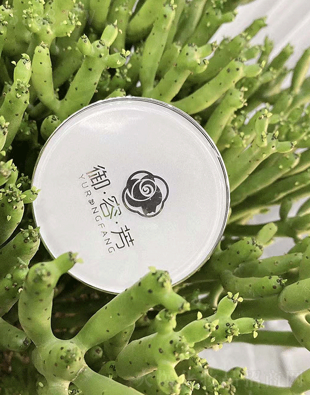 ���ݷ��p͸�o(w��)覚�|˪