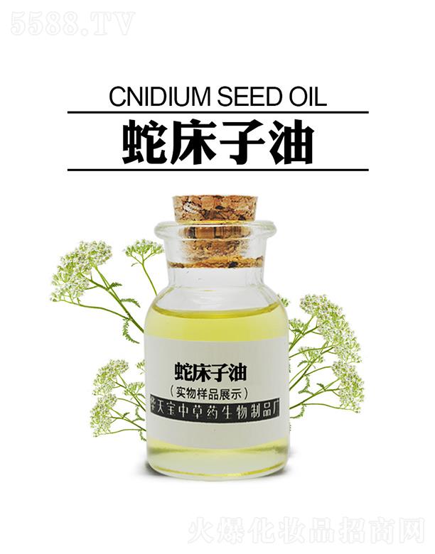 �A�쌚�ߴ�����