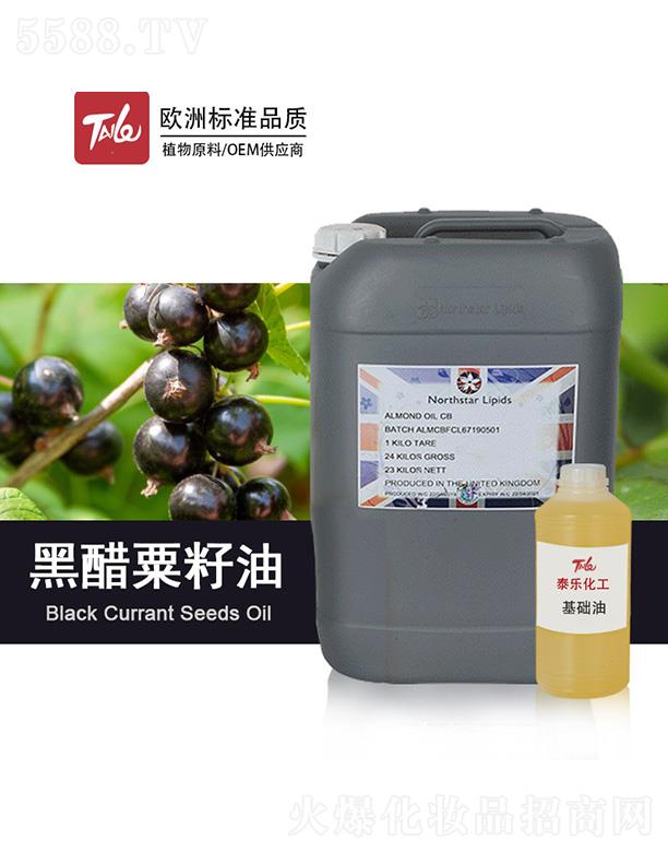 ̩��(l��)�ڴ�������