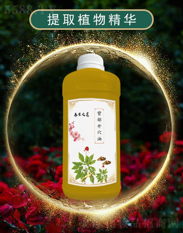 ��ܰ�����_Ѩ��