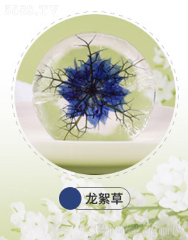 �mԊ(sh��)���mԊ(sh��)�𰱻����ֹ���-������