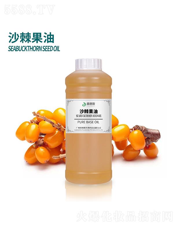 ����˹ɳ������