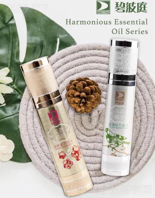 �̲�ͥ�B�Z(y��)���㾫��ϵ��