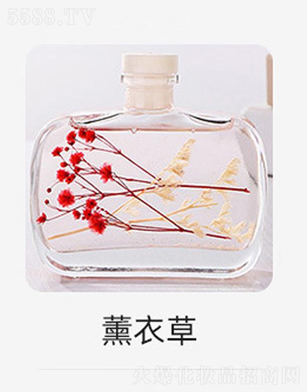 �o(w��)����޹����-޹�²�