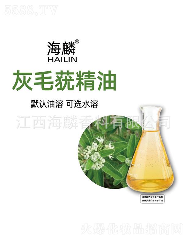 �����ë�~����