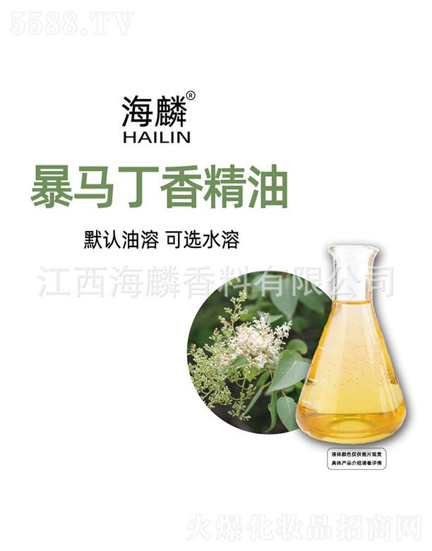 ���뱩�R���㾫��