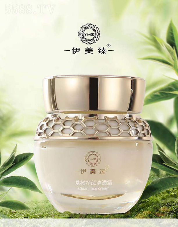 ������������͸˪