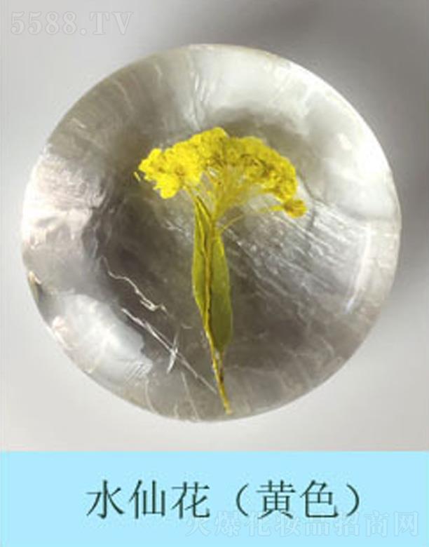 �������r����ˮ�ɻ����Sɫ��