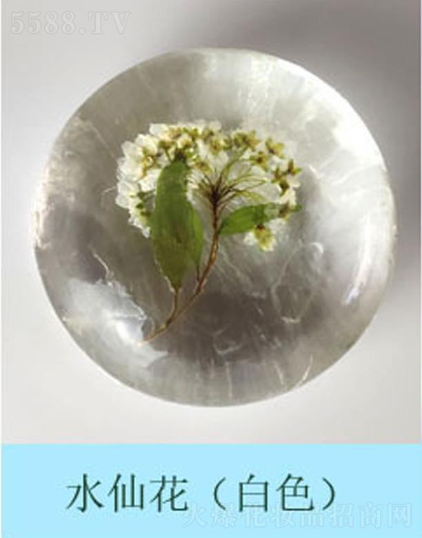 �������r����ˮ�ɻ�����ɫ��