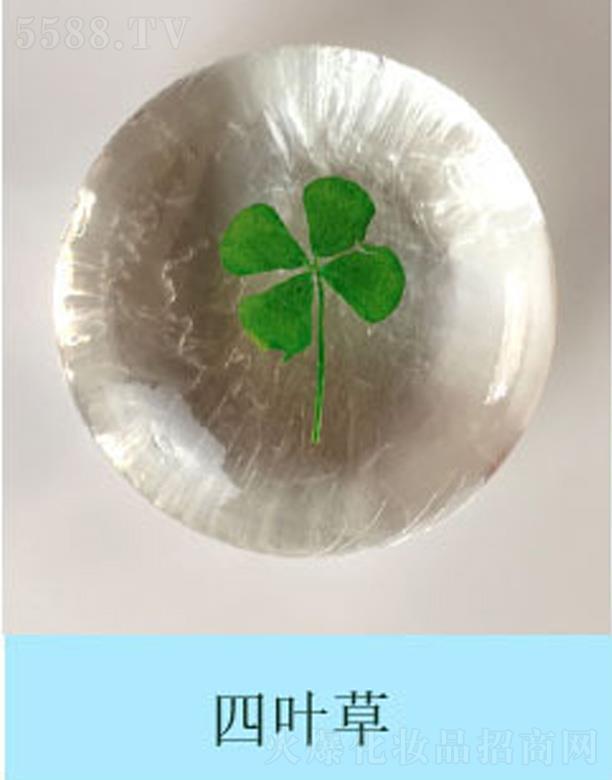 �������r�������~��