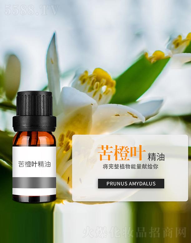 ����~����