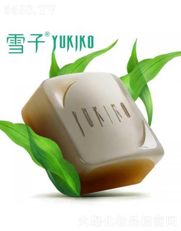 ѩ�Ӻ���ˮ����Դ�ֹ���