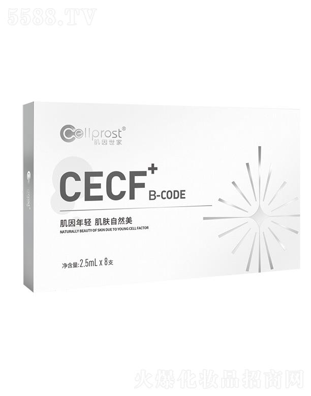 ��������CECF+B-CODE ����Ƥ�w�����ޏ�(f��)����