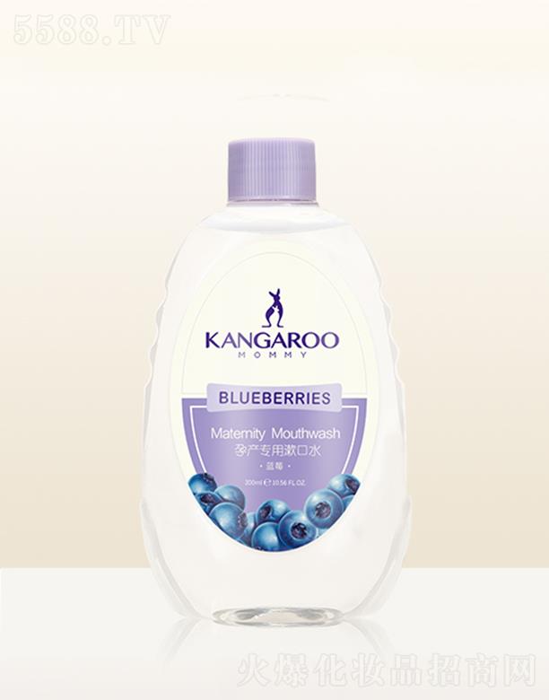 ���󋌋��Юa(ch��n)��������ˮ���{(l��n)ݮ��300ml�h(yu��n)�x���N���܆��}