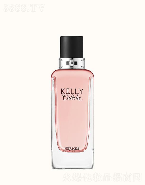 ���R�˄P��P��Ԋ�㾫 100�������C�������������