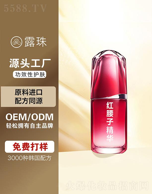 ¶������Ƽ�   �ؑc¶��t���Ӿ��A  �o�����o   �����̝�