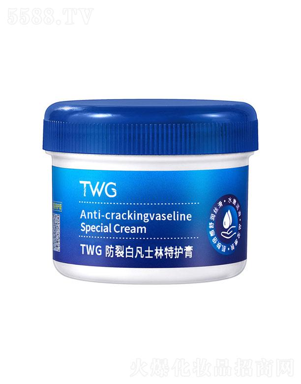 TWG���Ѱ׷�ʿ�����o��