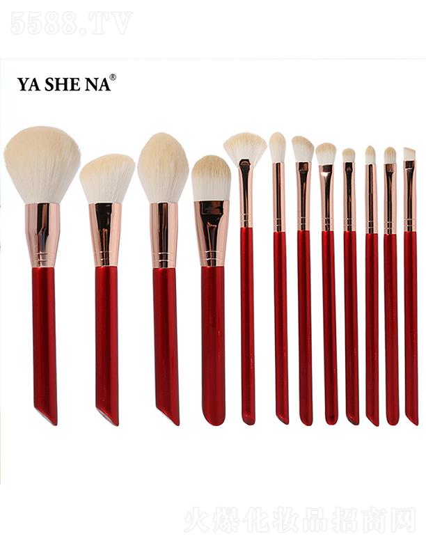 ��˹�ȼtɫ12֧ľ�����yˢ