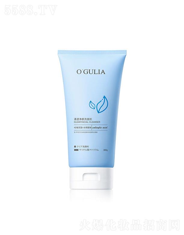 �������I��͸���ϴ����300g