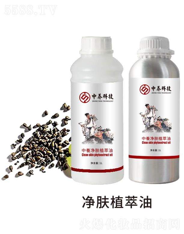 ���B(y��ng)���wֲ���� 1L