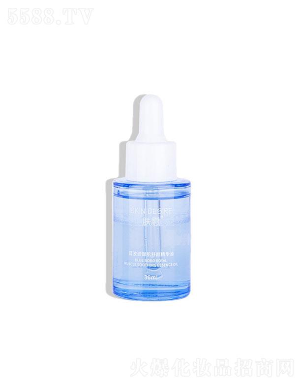 �wԸ�{(l��n)�������w����A��