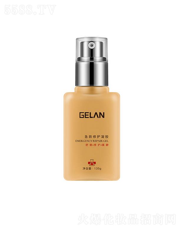 ���{(l��n)�����ޏ�(f��)���z