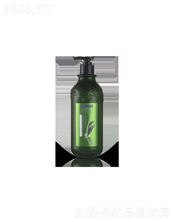 ����޹�²����B(y��ng)ϴ�l(f��)¶