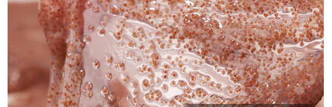 ����������ˎ������Ĥ