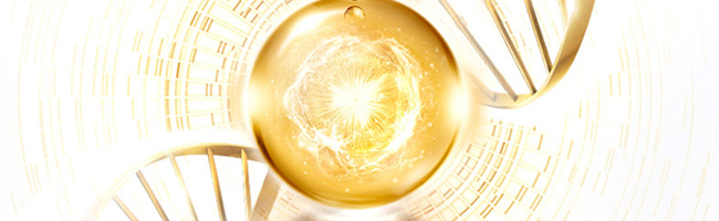 Ԋ(sh��)������VC�n���Ĥ