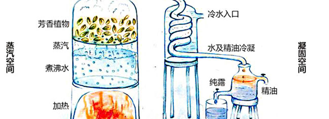 �؊}����ʾռ�¶