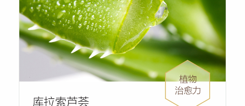 ؐ��ޱԊ�������R����Ч�ޏ�(f��)��Ĥ