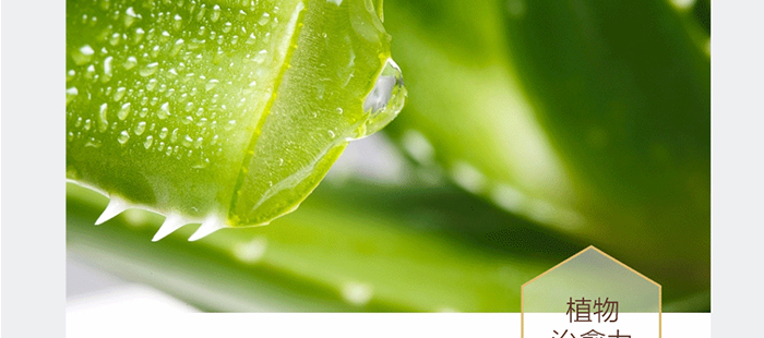 ؐ��ޱԊ�������R���aˮ�ޏ;��A