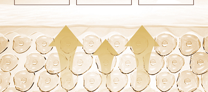 ؐ��ޱԊ�������R���aˮ�ޏ;��A