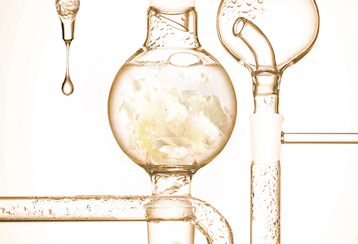 ���w���A˪