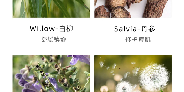 �n�����ݱ����oƽ����