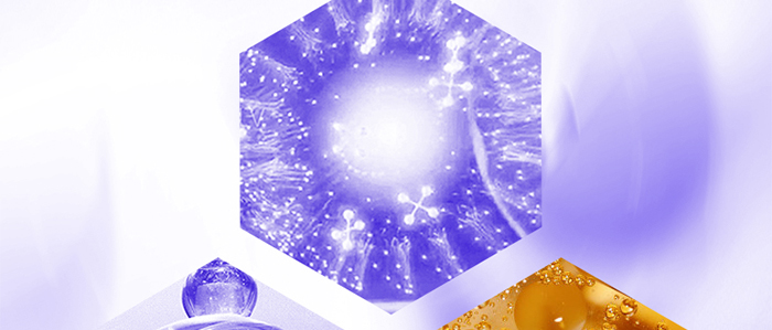 Piccoch�����ɷ��׺�