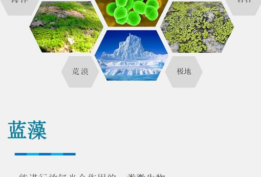 δ��(bi��o)�}-3_05