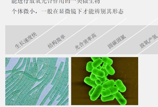 δ��(bi��o)�}-3_06